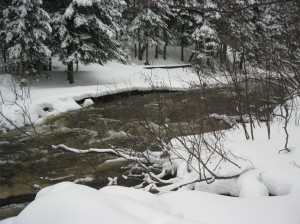 creek_in_the_snow