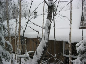 snow_on_the_cabin